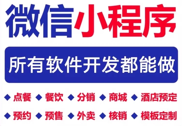 小程序定制开发APP H5网页